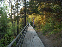 Дорога в осень (п. Умба, Мурманская обл., Терский р-н, 2003 год)