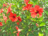 2009 г. Турция, Белек