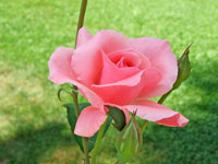 2009 г. Турция, Белек