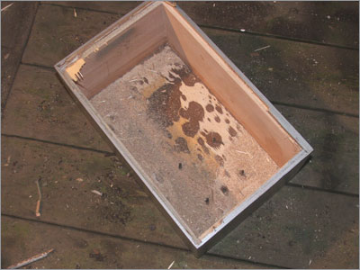 А вот один уже и &laquo;разделан&raquo; (выбита передняя панель)