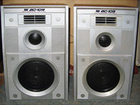 Переделка колонок ВЕГА 25АС-101